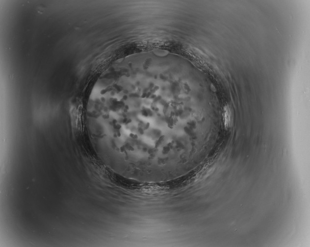 X0000094061059200710191057
