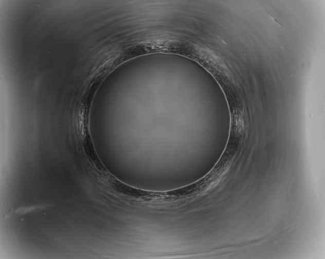X0000094061060200710191057