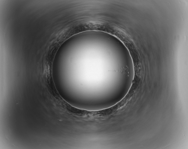 X0000094061061200710191057