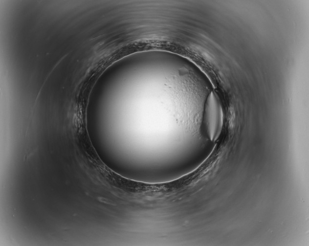 X0000094061062200710191057