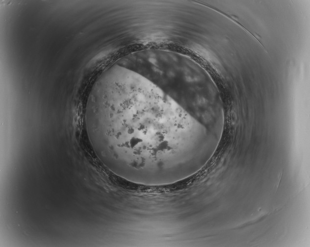 X0000094061063200710191057