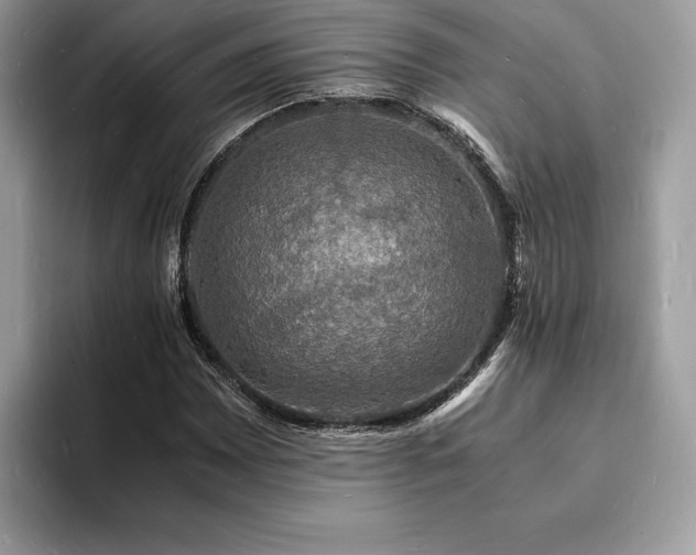X0000094061065200710191057