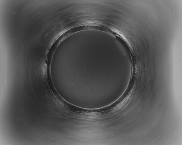 X0000094061066200710191057