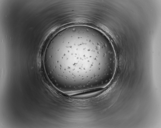 X0000094061067200710191057