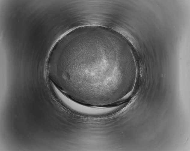 X0000094061069200710191057