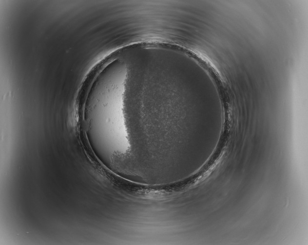 X0000094061070200710191057