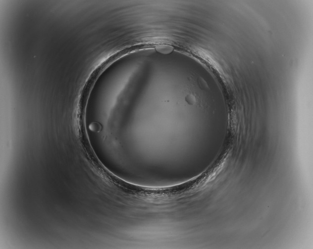 X0000094061071200710191057