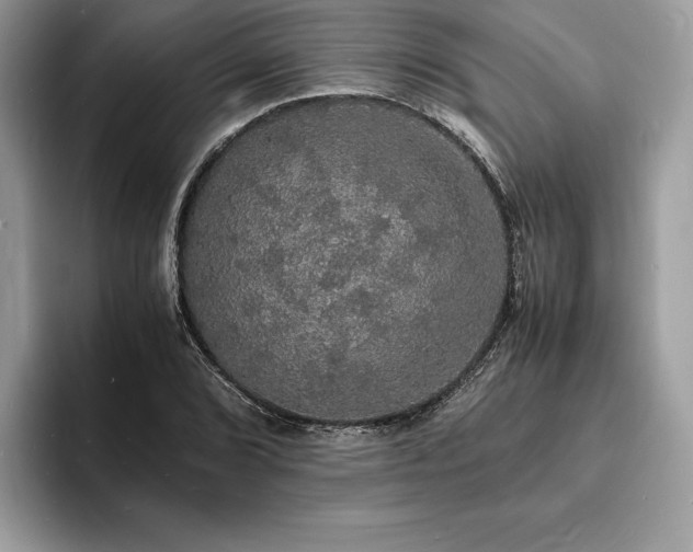 X0000094061072200710191057