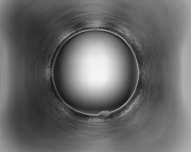X0000094061073200710191057