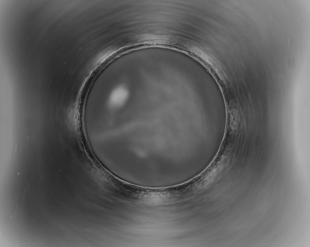 X0000094061074200710191057