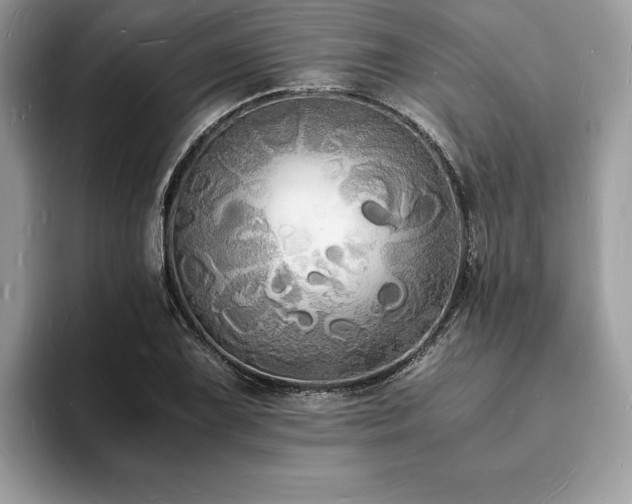 X0000094061075200710191057