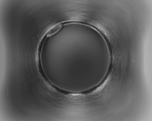 X0000094061077200710191057