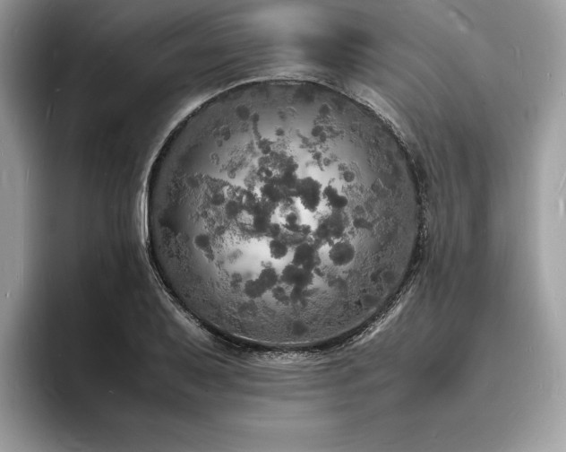 X0000094061079200710191057