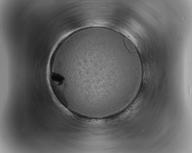 X0000094061080200710191057