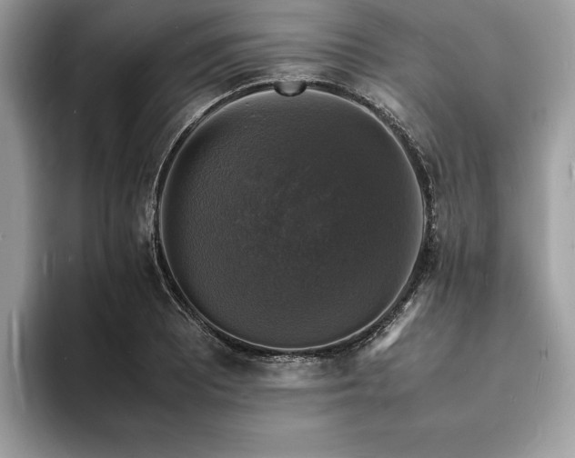 X0000094061081200710191057