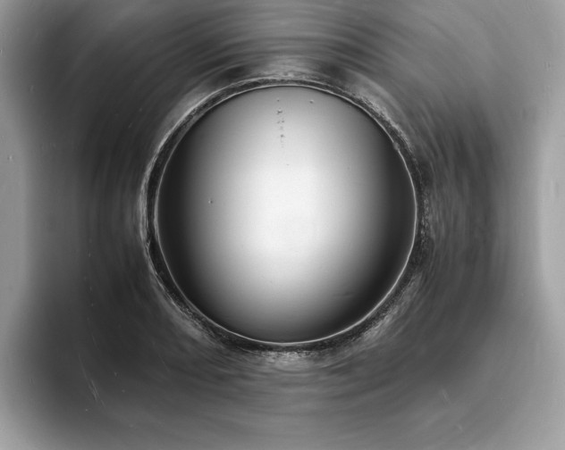 X0000094061082200710191057