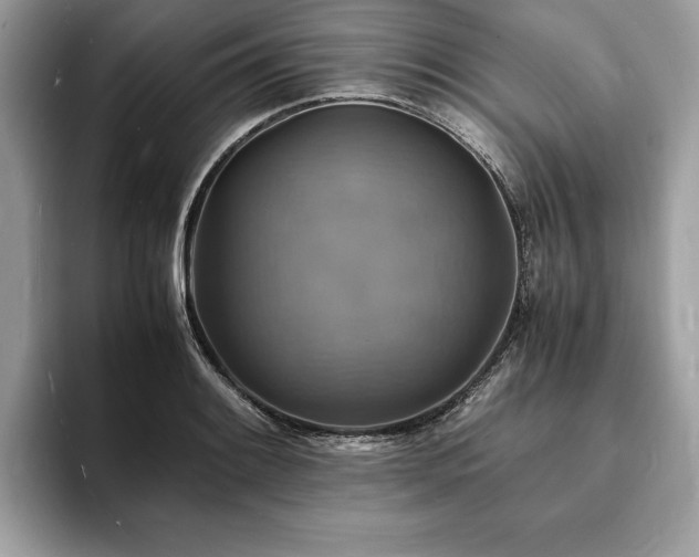 X0000094061084200710191057