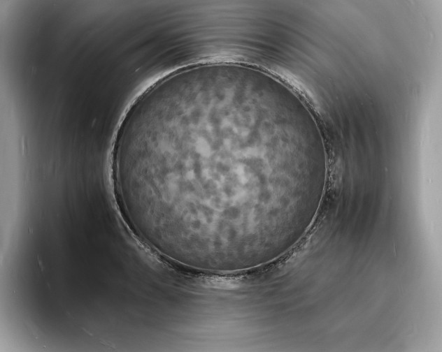 X0000094061086200710191057