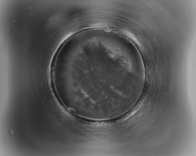 X0000094061087200710191057