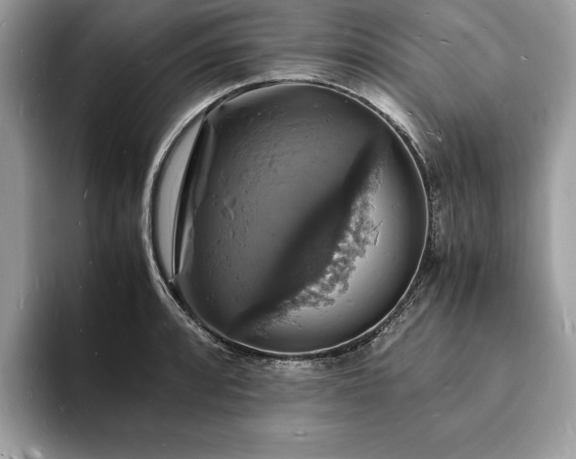 X0000094061088200710191057