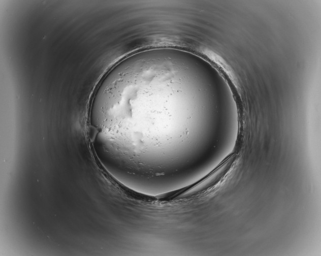X0000094061089200710191057