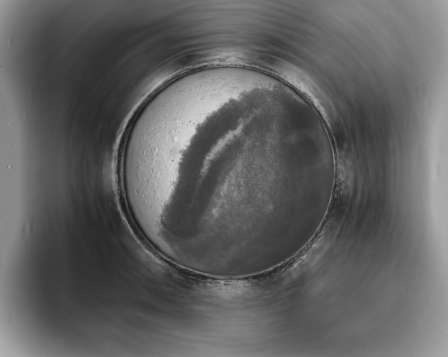 X0000094061090200710191057