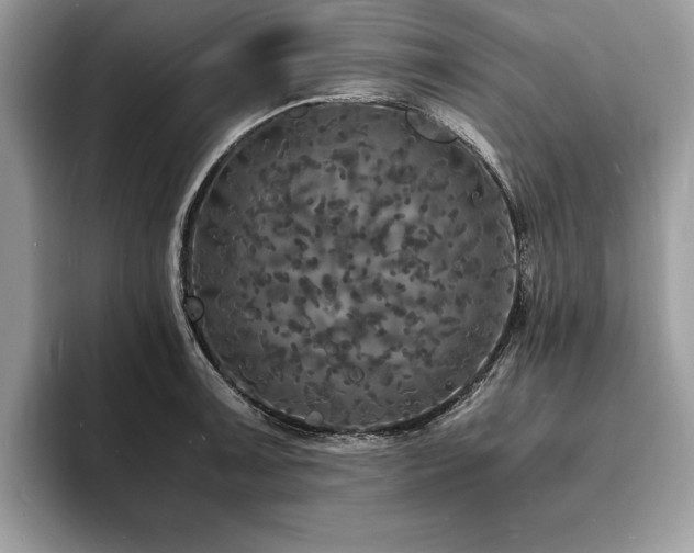 X0000094061091200710191057