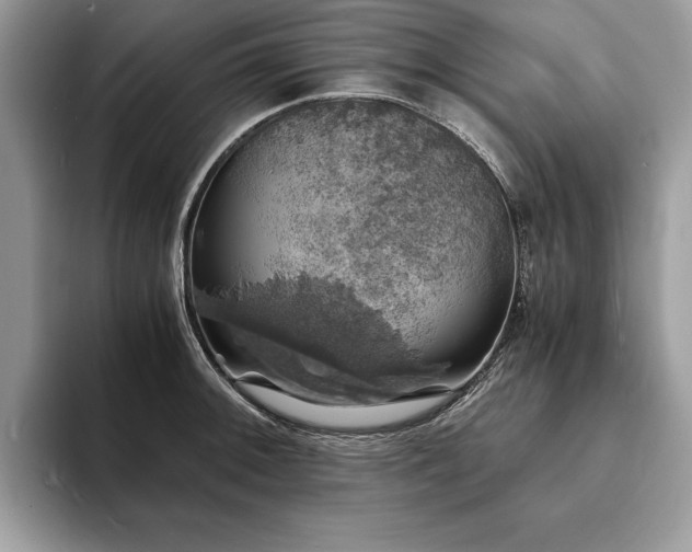 X0000094061092200710191057