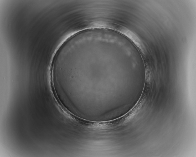 X0000094061094200710191057