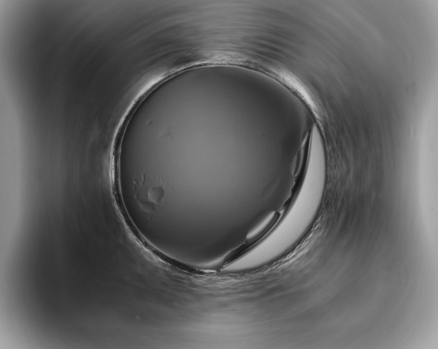 X0000094061095200710191057
