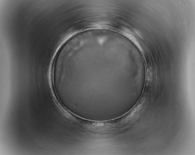 X0000094061098200710191057