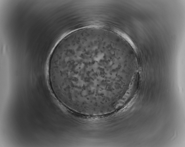 X0000094061099200710191057