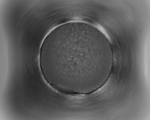 X0000094061100200710191057
