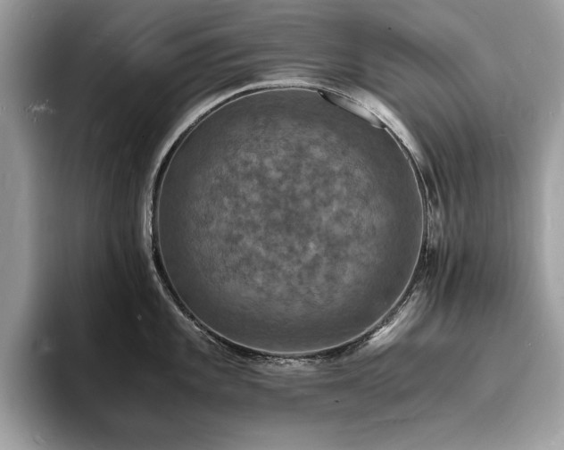 X0000094061101200710191057