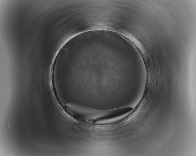 X0000094061102200710191057