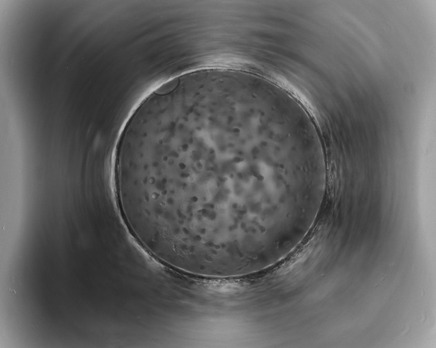 X0000094061103200710191057