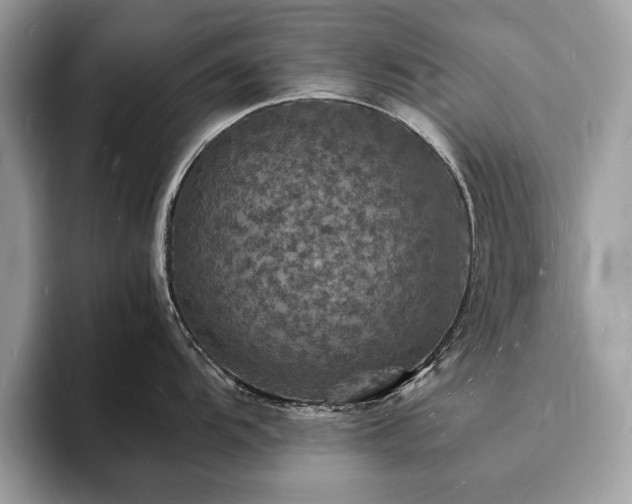 X0000094061104200710191057