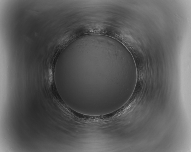 X0000094061106200710191056