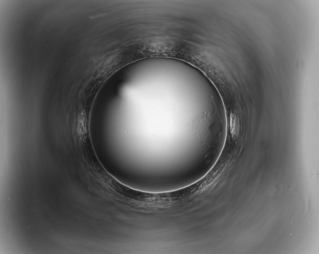X0000094061107200710191056