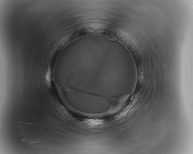 X0000094061108200710191056