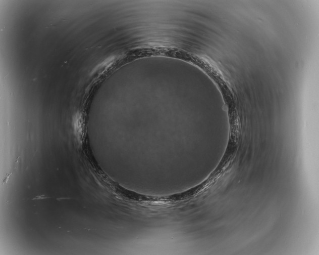 X0000094061110200710191056