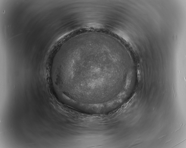 X0000094061112200710191056
