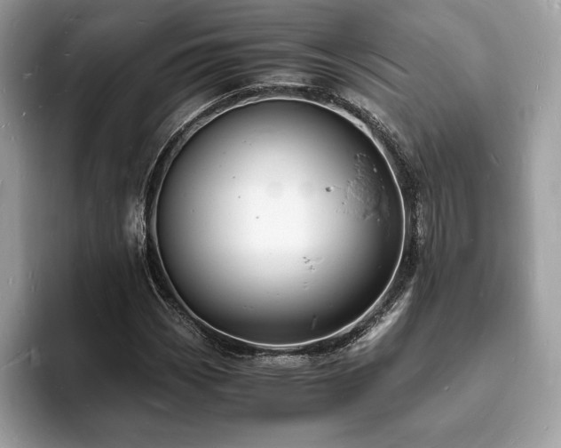 X0000094061113200710191056