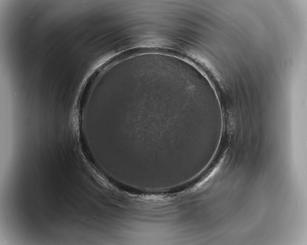 X0000094061114200710191056