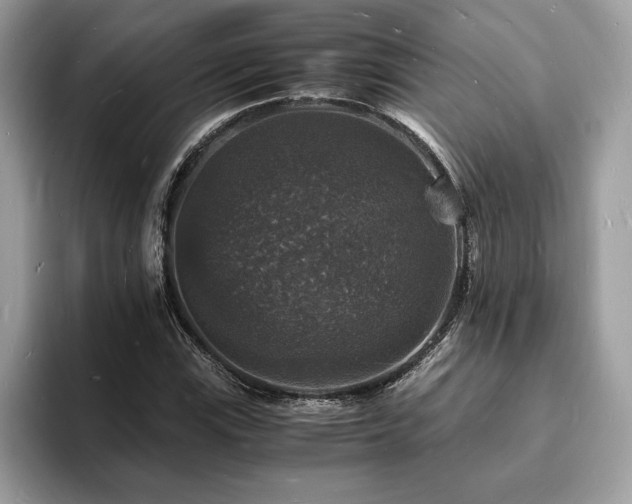 X0000094061115200710191056