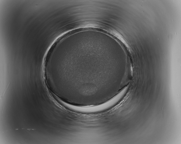 X0000094061116200710191056