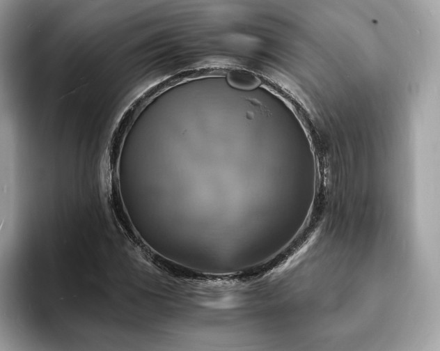 X0000094061117200710191056