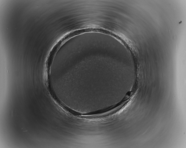 X0000094061118200710191056