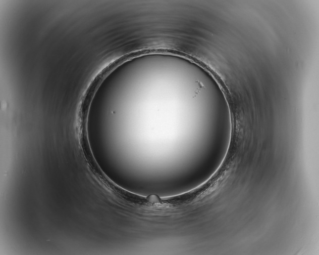 X0000094061119200710191056