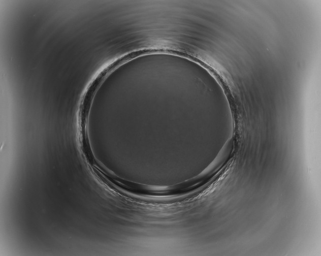 X0000094061120200710191056
